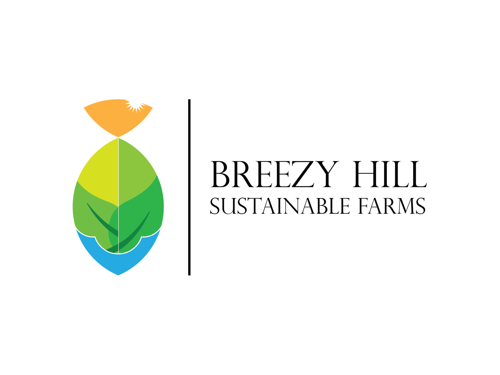 Breezy Hill Logo by saifsalahdesignz on Dribbble