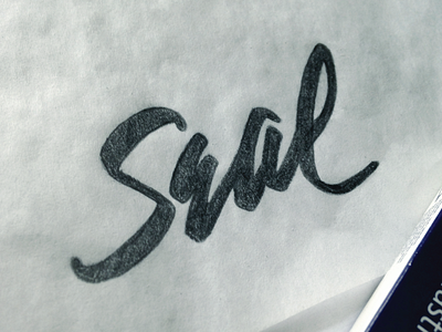 Seal ai calligraphy cursive graffiti hand lettering handlettering handwriting illustration lettering paint brush pen tool wacom