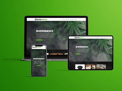 Website design and Development in wordpress Budssmoke