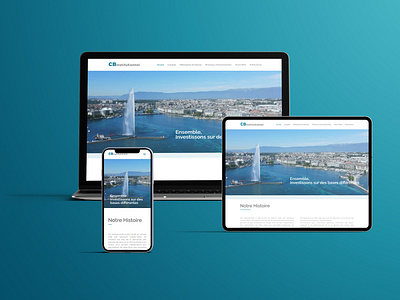 Website Development in wordpress for CB institutionnel