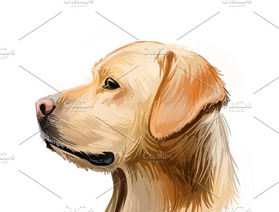 Dogs and Puppies 645 Animals PNG 3d animation app branding design graphic design icon illustration logo motion graphics ui