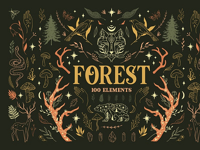 Forest Bundle 3d animation app branding brushes bundle collection design font graphic design icon illustration logo motion graphics photoshop serif typography ui vector watercolor