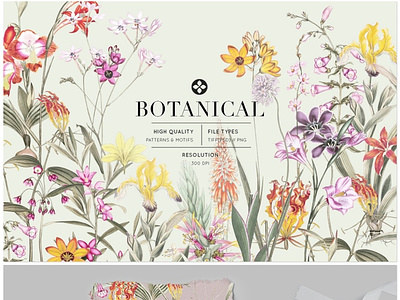Botanical, Luxury Patterns & Motifs! 3d animation app botanical branding design graphic design icon illustration logo luxury patterns motion graphics ui