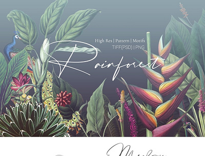 Rainforest Tropical Pattern set! 3d animation app branding design graphic design icon illustration logo motion graphics ui
