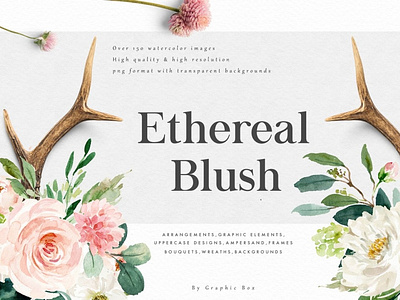Ethereal Blush-Florals Graphic Set 3d animation app blush branding design ethereal florals graphic design graphic set icon illustration logo motion graphics ui