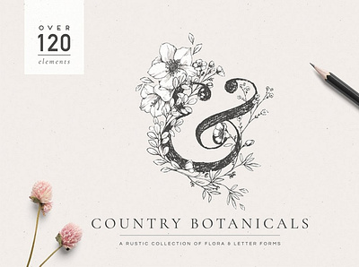 Country Botanicals & Monograms 3d animation app botanicals branding country design graphic design icon illustration logo monograms motion graphics ui