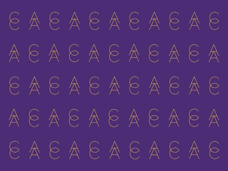 Anymotion 2017 - Acaca Speaker Title conference motion speaker title titles typography