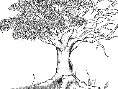 Tree - From death to life death drawing illustration life sketch tree