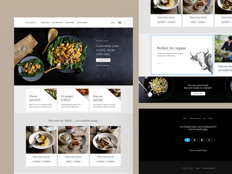 Fig&Co Elements web user inteface user experience illustration typography clean minimal design website ux ui