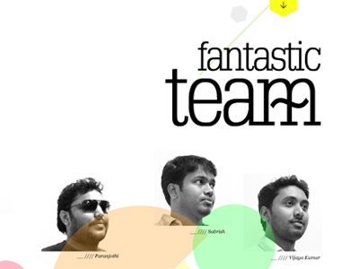F11 - Cricket Team - Website - 2011 cricket team f11 fantastic leven team page website design