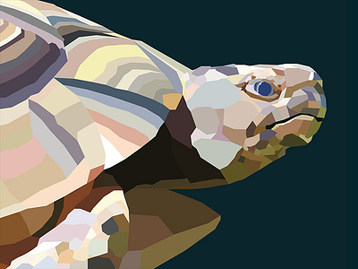 Geo-Tortoise flat geometric illustration illustrator tortoise