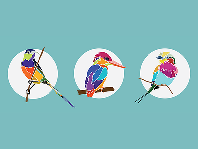 Little African birds africa birds flat icons illustration illustrator south africa