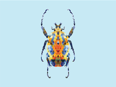 Beetle beetle bugs colour geometric triangle