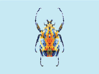 Beetle