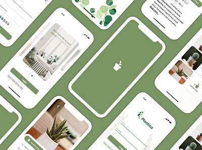 Plantica: Watering Plants App Showcase app ui design illustration invision invision studio ios ios app ui ui animation ui design ui ux ui ux design