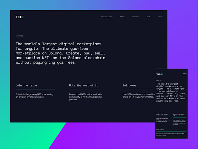 Landing page concept: TIDE branding design typography ui