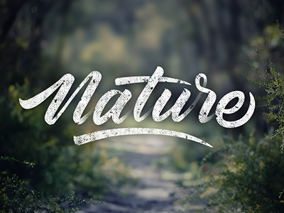 Nature letras lettering nature tipografia typo typography