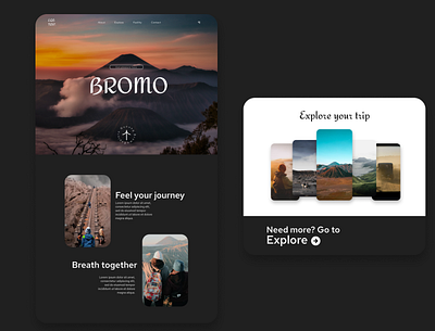 Mount Bromo Explorer Design Web branding design ui ux web