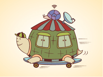 Racing Turtle Db cartoon graphic illustration