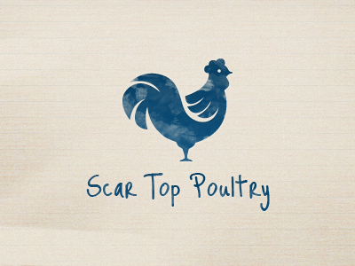 Scar Top Poultry branding branding illustration logo design texture