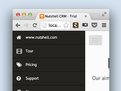 Nutshell web design branding css html logo design responsive design web design