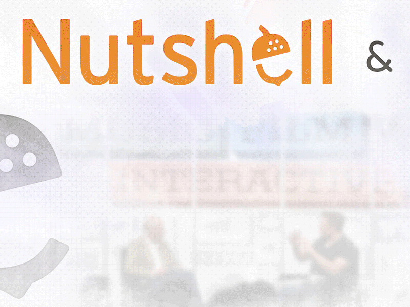 Nutshell web design branding graphic design logo design texture ui design web design