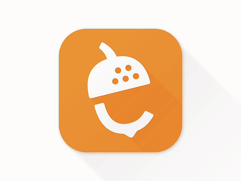 Nutshell app icon app icon crm ios nutshell orange peach