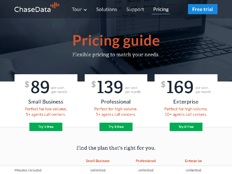 ChaseData Web Design blue full bleed icons pricing support