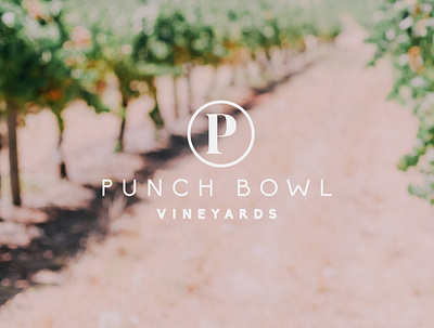 Punch Bowl Vineyards australia brand branding business design graphic design logo