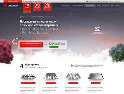 Website wireframe evrokrovli evrokrovliby masteria masteriaby red ui ux webdesign website wireframe wireframes