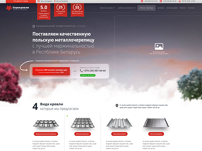 Website wireframe