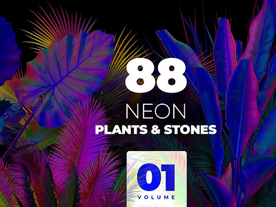 NEON plants & stones collection #01 3d animation app art brand branding design graphic design icon illustration illustrator logo logo design minimal motion graphics typography ui ux vector website