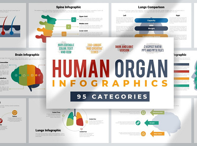 Human Organ Infographics 3d animation app art branding design flat graphic design icon illustration illustrator logo minimal motion graphics typography ui ux vector web website