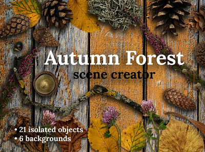 Autumn Leaves Scene Creator 3d animation app art branding design flat graphic design icon illustration illustrator logo minimal motion graphics typography ui ux vector web website