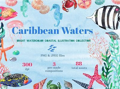Bright Coastal Watercolor Ocean 3d animation app branding design graphic design icon illustration logo motion graphics typography ui ux vector