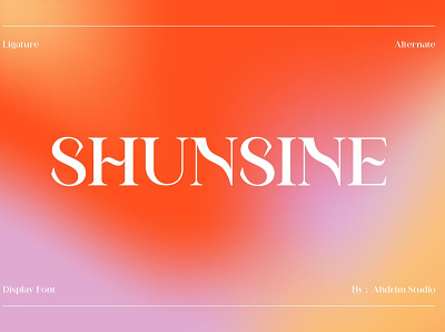 Shunsine - Modern Serif Font 3d animation app branding design graphic design icon illustration logo motion graphics ui