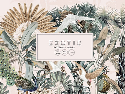 Exotic, Elegant Tropical Prints