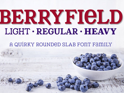 Berryfield: a quirky slab family! 3d animation berry bold family branding design fun fonts graphic design icon illustration logo mixed case monocase motion graphics rounded slab family smooth typewriter fonts unique vector