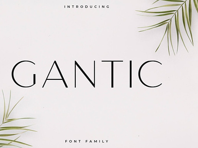 Gantic Font Family - Sans Serif