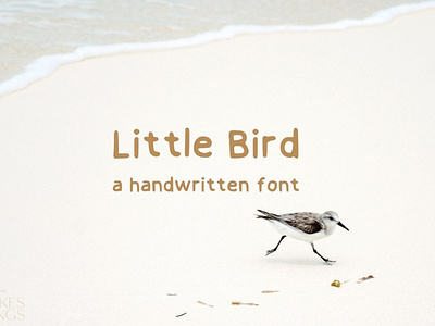 Little Bird a Handwritten Font