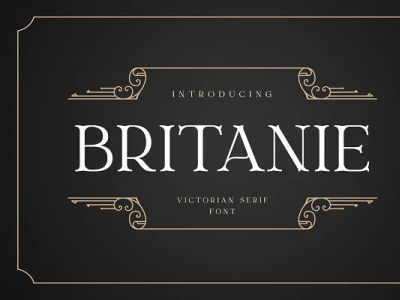 BRITANIE Vectorian Serif Font 3d animation branding design graphic design icon illustration logo motion graphics ui ux vector