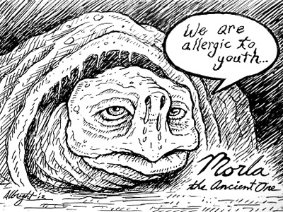 The Neverending Morla ballpoint comic drawing illustration morla neverending story nostalgia pen turtle