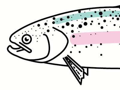 Rainbow Trout print illustration single weight line trout