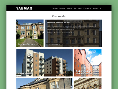 Taemar Website Design (Portfolio page)