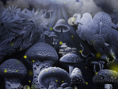 mushrooms