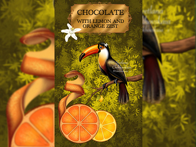 Illustration for the packaging of exotic chocolate "Orange"
