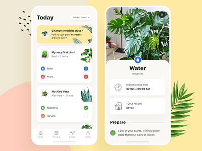 Plants App:  Today Tasks