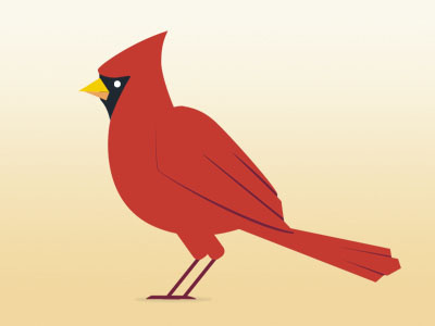 Cardinal bird cardinal simple vector