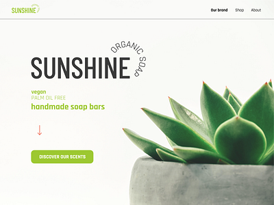 Sunshine Organic Soap