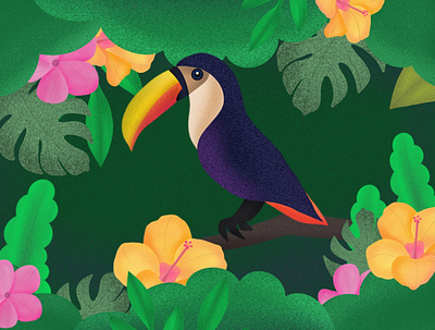 Procreate illustration bird brushes design flowers green leaves illustration jungle nature procreate toucan